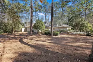 2 Fish Hawk, Hilton Head Island, SC 29926 - Photo 50