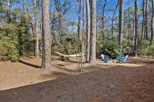 2 Fish Hawk, Hilton Head Island, SC 29926 - Photo 58