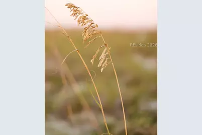 848 Marsh Dunes Road, Saint Helena Island, SC 29920 - Photo 6