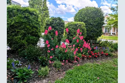 85 Concession Oak Drive, Bluffton, SC 29909 - Photo 60