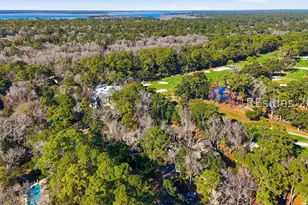 22 Lighthouse Rd, Hilton Head Island, SC 29928 - Photo 38