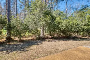 9 Rain Tree Ln, Bluffton, SC 29909 - Photo 40