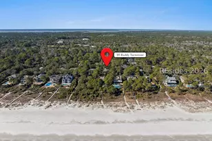 30 Ruddy Turnstone Rd, Hilton Head Island, SC 29928 - Photo 88
