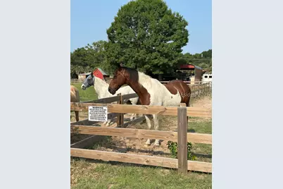 19 Belle Isle Farms, Beaufort, SC 29907 - Photo 68