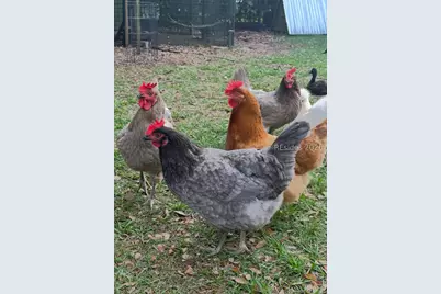 19 Belle Isle Farms, Beaufort, SC 29907 - Photo 74