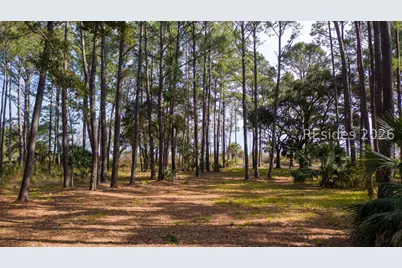 81 Fuskie Lane, Daufuskie Island, SC 29915 - Photo 2