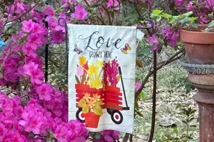 50 Scipio Rd, Beaufort, SC 29906 - Photo 88