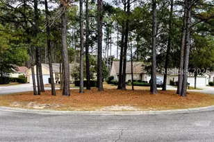 73 Cypress Hollow, Bluffton, SC 29909 - Photo 4