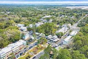 6 Wild Spartina St, Bluffton, SC 29910 - Photo 44