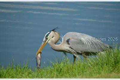 10 Abbeville Court, Bluffton, SC 29910 - Photo 36