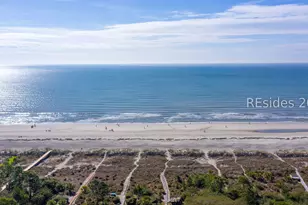 7 Cassina Ln, Hilton Head Island, SC 29928 - Photo 52