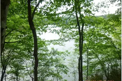 Lot 17 Block 40 Waters Edge Drive, McCormick, SC 29835 - Photo 2