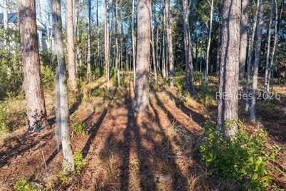 196 Vinson Road, Bluffton, SC 29910 - Photo 14