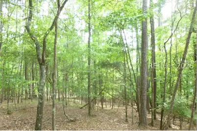 Lot 8 Block 15 Colleen Port, McCormick, SC 29835 - Photo 2