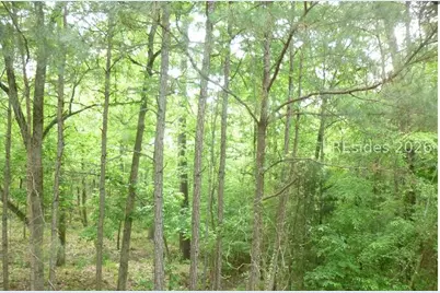 Lot 2 Block 6 Bereau Drive, McCormick, SC 29835 - Photo 2