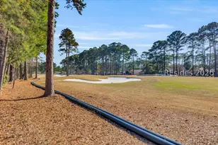 26 Sunflower Ln, Bluffton, SC 29909 - Photo 46