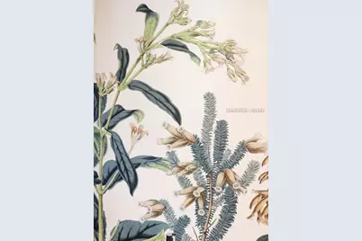 34 Spanish Pointe Drive, Hilton Head Island, SC 29926 - Photo 22