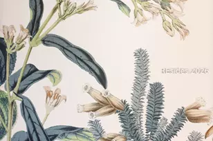 34 Spanish Pointe Dr, Hilton Head Island, SC 29926 - Photo 22