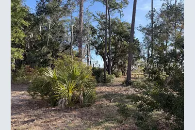 1 Shallow Run Lane, Beaufort, SC 29907 - Photo 2