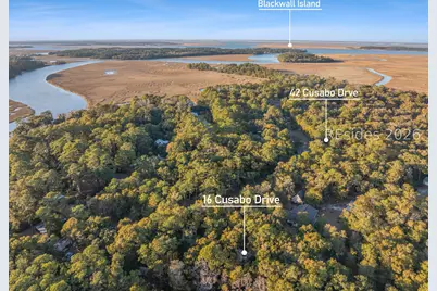Tbd Blackwall Island, Saint Helena Island, SC 29920 - Photo 8