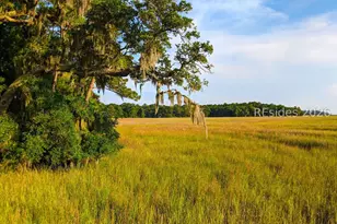 106 Frances Jones Bvld, Daufuskie Island, SC 29915 - Photo 34