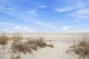 2 Night Hawk St, Hilton Head Island, SC 29928 - Photo 4