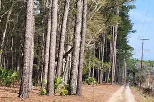 942 May River Rd, Bluffton, SC 29910 - Photo 12