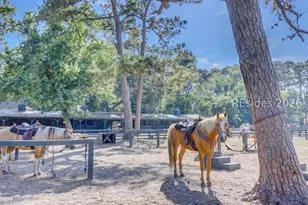 4 Braddock Bluff Dr, Hilton Head Island, SC 29928 - Photo 34