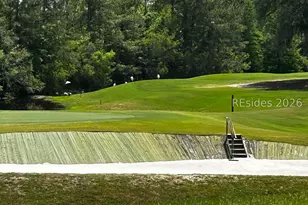 25 Wandering Daisy Dr, Bluffton, SC 29909 - Photo 50