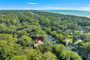 43 Woodbine Pl, Hilton Head Island, SC 29928 - Photo 46