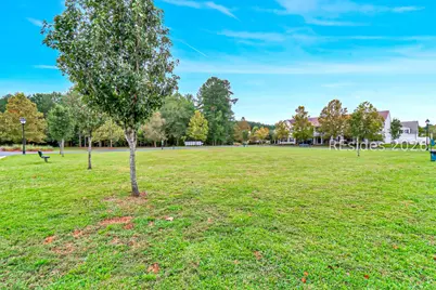 229 University Parkway, Bluffton, SC 29909 - Photo 30