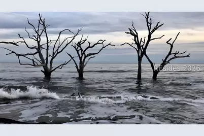 5 Cedar Point Drive, Ladys Island, SC 29907 - Photo 24