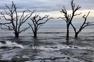 5 Cedar Point Dr, Ladys Island, SC 29907 - Photo 24