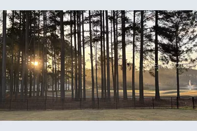 141 Firethorn Lane, Hardeeville, SC 29927 - Photo 2