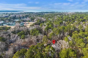 8 Sundew Ct, Hilton Head Island, SC 29926 - Photo 54