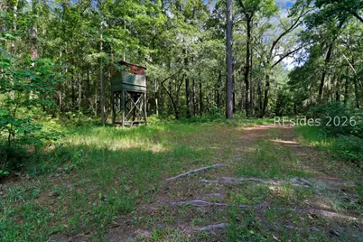 Tbd Bolan Hall Road, Ridgeland, SC 29936 - Photo 28