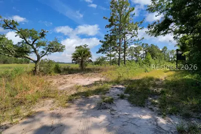 Tbd Bolan Hall Road, Ridgeland, SC 29936 - Photo 6