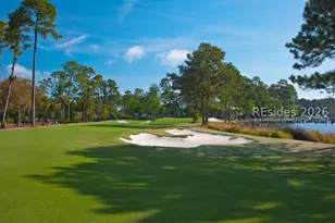 3 Roxbury Cir, Hilton Head Island, SC 29928 - Photo 80