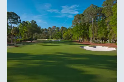 3 Roxbury Circle, Hilton Head Island, SC 29928 - Photo 72