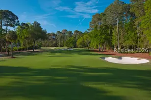 3 Roxbury Cir, Hilton Head Island, SC 29928 - Photo 72