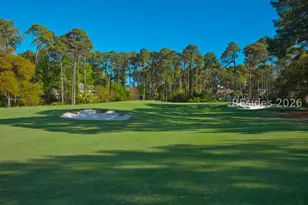 3 Roxbury Cir, Hilton Head Island, SC 29928 - Photo 74