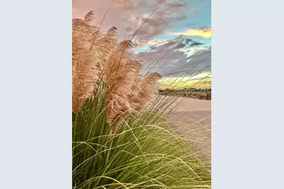 1 Cedar Reef Drive #F204, Saint Helena Island, SC 29920 - Photo 50