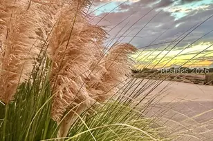 1 Cedar Reef Dr, Saint Helena Island, SC 29920 - Photo 50