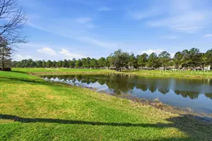 29 Penny Creek Dr, Bluffton, SC 29909 - Photo 26