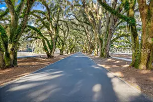 321 Bamberg Dr, Bluffton, SC 29910 - Photo 76