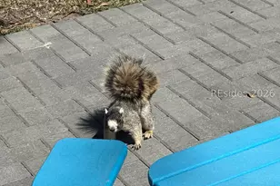 60 Stable Gate Rd, Hilton Head Island, SC 29926 - Photo 40