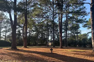 323 Bamberg Dr, Bluffton, SC 29910 - Photo 1