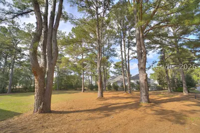 323 Bamberg Drive, Bluffton, SC 29910 - Photo 4