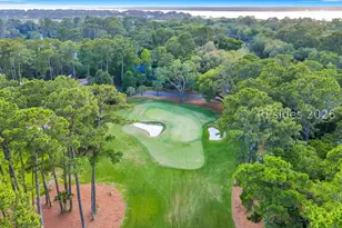 11 Hollyberry Ln, Hilton Head Island, SC 29928 - Photo 44