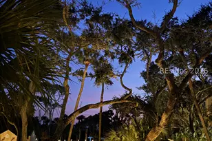 63 Ocean Ln, Hilton Head Island, SC 29928 - Photo 64